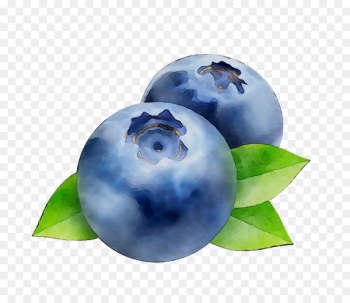 Bilberry Blueberry Sphere - Bilberry Blueberry Sphere -