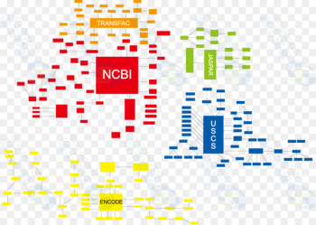 Bioinformatics Biology Science Research Information - agree infographic 