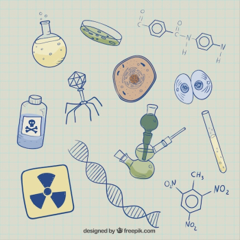 Biology sketches background