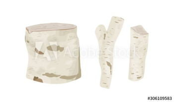 Birch tree stumps and logs vector illustrations set Birch tree stumps and logs vector illustrations set