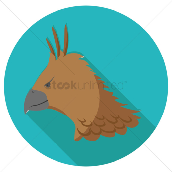 Bird Bird