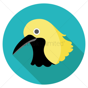 Bird Bird