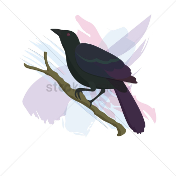 Bird Bird