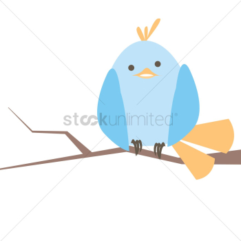 Bird Bird