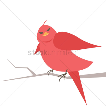Bird Bird