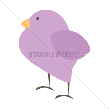 Bird Bird