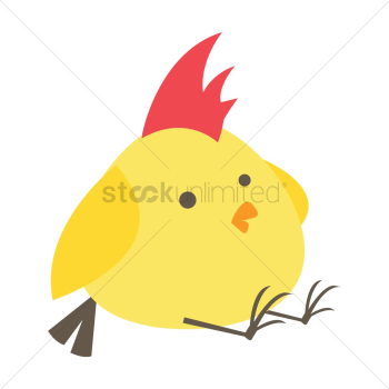 Bird Bird