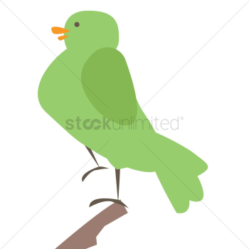 Bird Bird