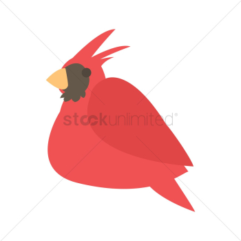 Bird Bird