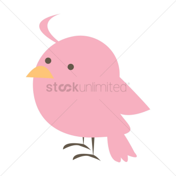 Bird Bird