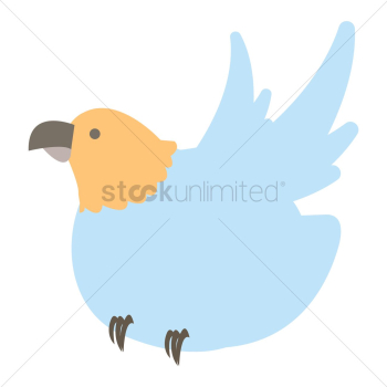 Bird Bird