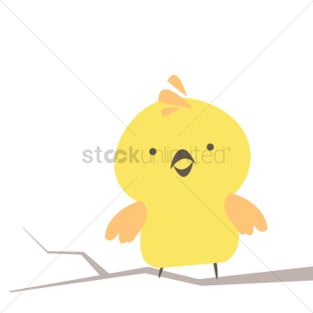 Bird Bird