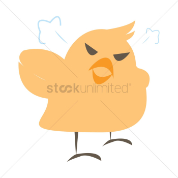 Bird Bird