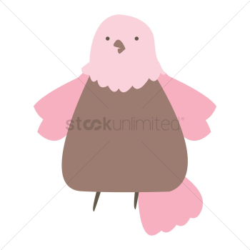 Bird Bird