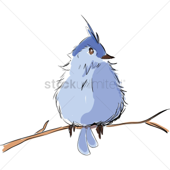 Bird Bird