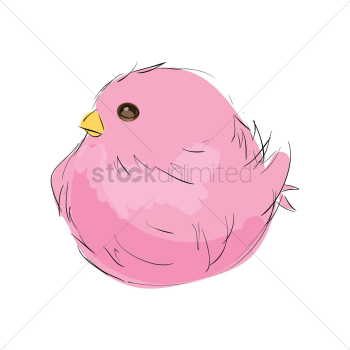 Bird Bird