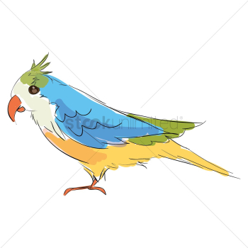 Bird Bird