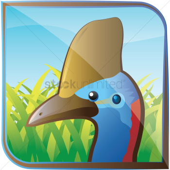 Bird Bird
