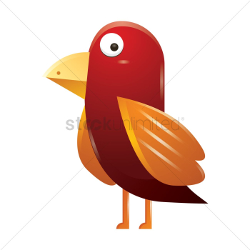 Bird Bird