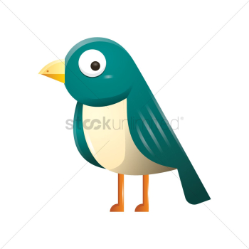 Bird Bird