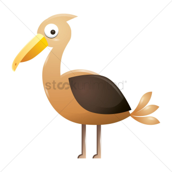 Bird Bird