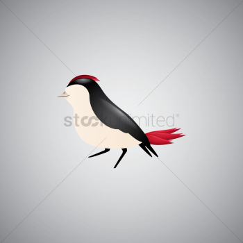 Bird Bird