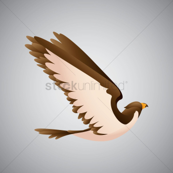 Bird Bird