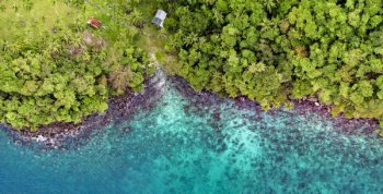 Bird's Eye View of a Seashore Bird's Eye View of a Seashore