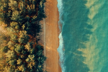Bird's-eye View of Beach Bird's-eye View of Beach