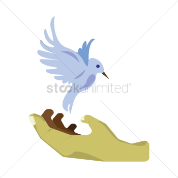 Bird above hand