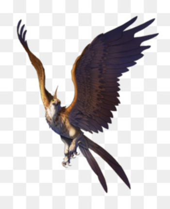 Bird Abstract Eagle - abstrack Bird Abstract Eagle - abstrack