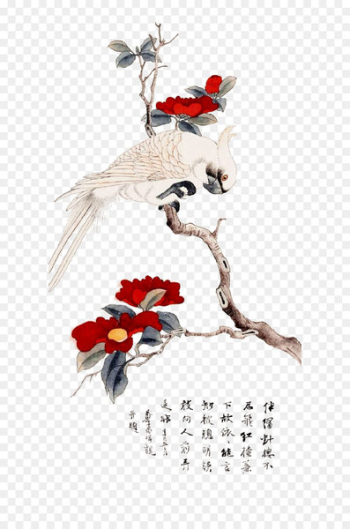 Bird-and-flower painting Chinese painting Painter Illustration - Lifelike painted bird 