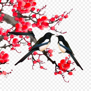 Bird-and-flower painting - Magpie apricot 