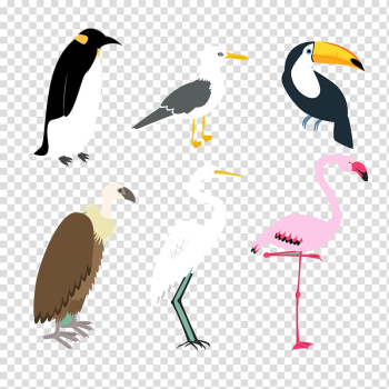 Bird, Animal crane transparent background PNG clipart Bird, Animal crane transparent background PNG clipart
