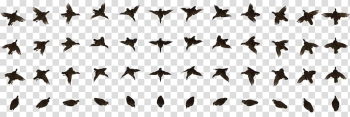 Bird Animation Computer Icons , Bird Animation transparent background PNG clipart Bird Animation Computer Icons , Bird Animation transparent background PNG clipart