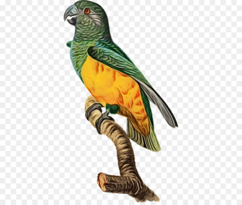 bird beak animal figure parrot figurine bird beak animal figure parrot figurine
