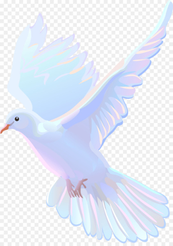 Bird Beak Animation Feather - dove no png Bird Beak Animation Feather - dove no png