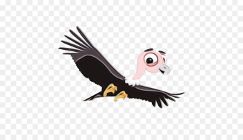 bird bird of prey vulture cartoon beak bird bird of prey vulture cartoon beak