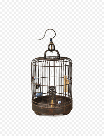 Bird, Birdcage, Cage, Bird Supply PNG Bird, Birdcage, Cage, Bird Supply PNG