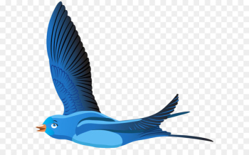 Bird Cartoon Clip art - Blue Bird Cartoon Transparent Clip Art PNG Image 