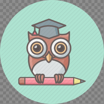 Bird, classroom, education, knowledge, owl, professor, teacher icon