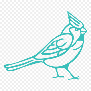 Bird Clip art Northern cardinal Scalable Vector Graphics - bird 