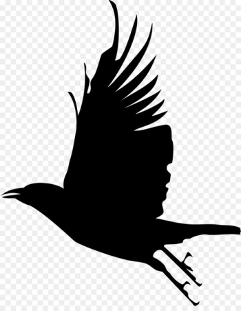 Bird Clip art Silhouette Crow Image - Bird Clip art Silhouette Crow Image -