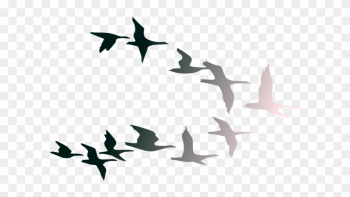 Bird Clipart Bird Fly - Clip Art Bird Clipart Bird Fly - Clip Art