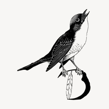Bird clipart, vintage animal illustration | Free Vector - rawpixel Bird clipart, vintage animal illustration | Free Vector - rawpixel