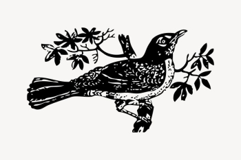 Bird clipart, vintage illustration vector. | Free Vector - rawpixel Bird clipart, vintage illustration vector. | Free Vector - rawpixel