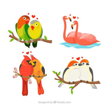 Bird couple collection for valentine
