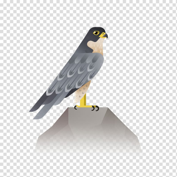 Bird Eagle Hawk Icon, bird transparent background PNG clipart Bird Eagle Hawk Icon, bird transparent background PNG clipart