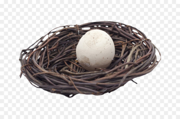 Bird Easter egg Easter egg - Nest Bird Easter egg Easter egg - Nest