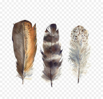 Bird Feather Drawing Watercolor painting - Hand-painted watercolor feather 